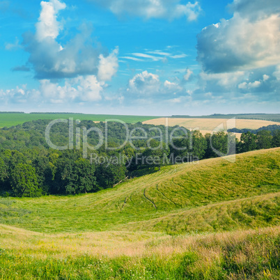 picturesque hills, forest and blue sky