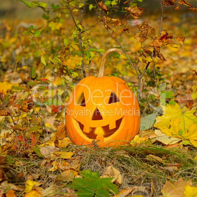 pumpkin-head on a background of autumn leaves and grass