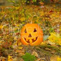 pumpkin-head on a background of autumn leaves and grass