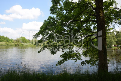 Hausweiher, Westerwald