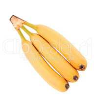 many yellow banana isolated