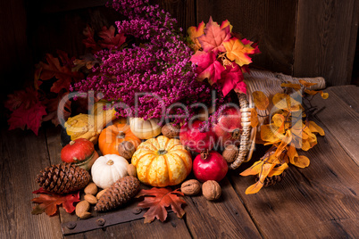 Cornucopia