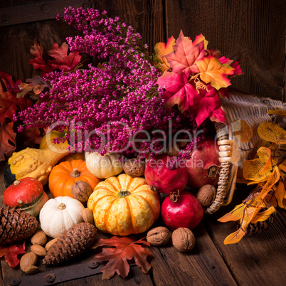 Cornucopia