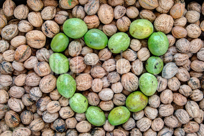 Ripe and unripe walnuts