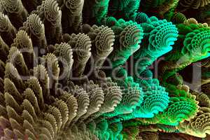 Abstract fractal image colorful sea shells.