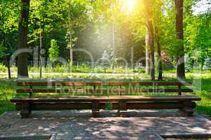summer park, wooden benches and sunrise