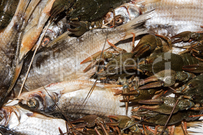 Dry fish and alive crayfish on white background