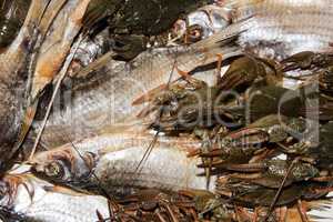 Dry fish and alive crayfish on white background