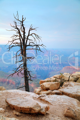 Grand Canyon National Park overview