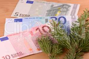 Branch of fir-tree on a background money of euro