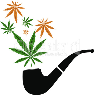 Drug cannabis. Marijuana flower bud and pipe isolated on white background vector illustraton