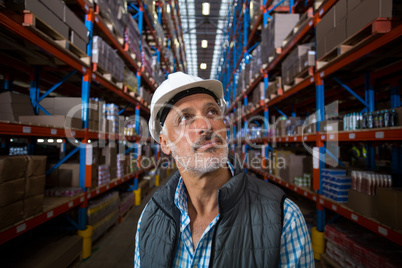 Warehouse worker looking at cardboard boxes on shelves