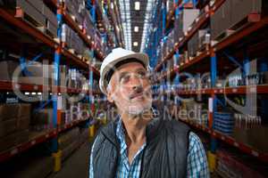 Warehouse worker looking at cardboard boxes on shelves