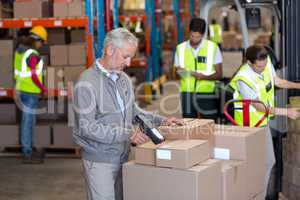 Warehouse manager scanning the boxes