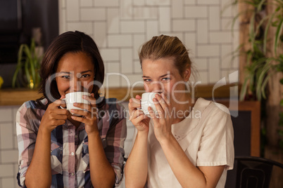 Portrait of female friends having coffee