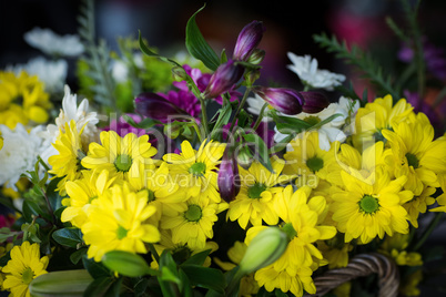 Close-up of beautiful flowers