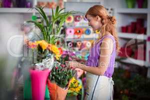 Portrait of female florist smiling