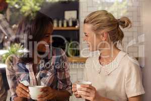 Female friends interacting with each other while having coffee