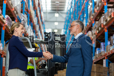 Warehouse manager shaking hands with client