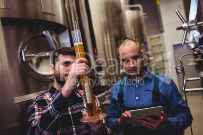 Owner inspecting beer in tube at brewery