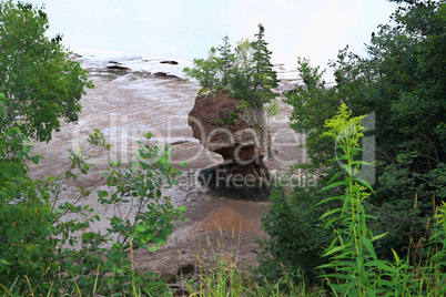 Single Hopewell Rock during low tide