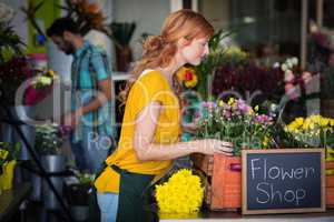 Female florist arranging bouquet of flower