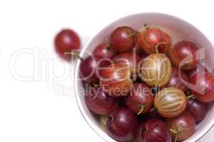 fresh gooseberries bowl isolated