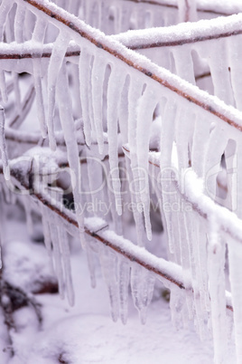 Cold winter day with many icicle