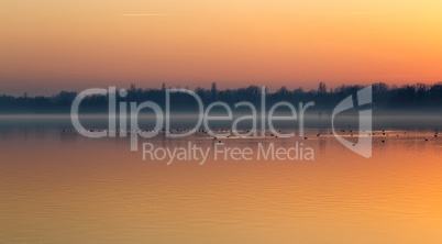 Sunset over the lake Balaton of Hungary with birds