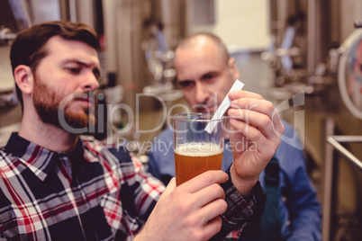 Owner inspecting beer in glass mug