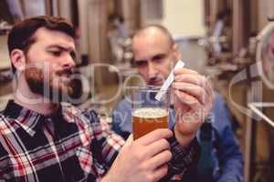 Owner inspecting beer in glass mug