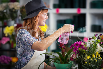 Florists spraying water on flowers in flower shop