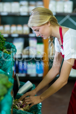 Female staff checking vegetables in organic section
