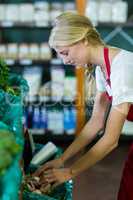 Female staff checking vegetables in organic section