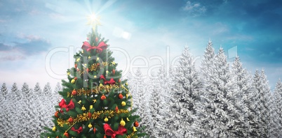 Christmas tree in snowy forest