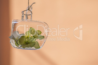 sink flowerrs into glass apple shaped vase hanged