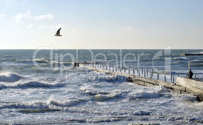 Stormy day in October in Black Sea
