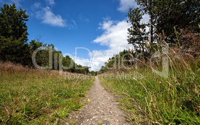 hiking trail