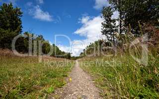 hiking trail