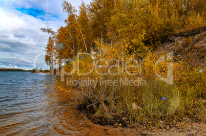 In The Autumn Forest