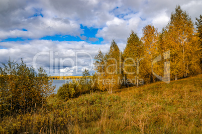 In The Autumn Forest