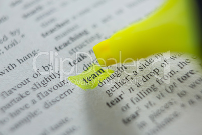 Close-up of marker pen highlighting text
