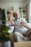 Senior couple having glasses of wine