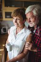 Senior couple standing in kitchen