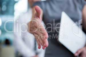 Businesswoman shaking hand
