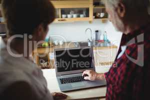 Senior couple using laptop