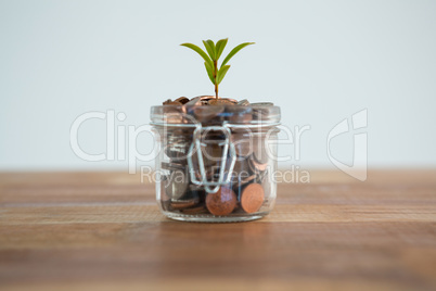 Plant growing out of coins jar