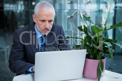 Businessman working on laptop