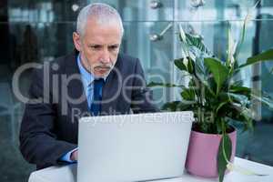 Businessman working on laptop