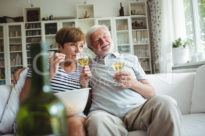 Senior couple having glasses of wine